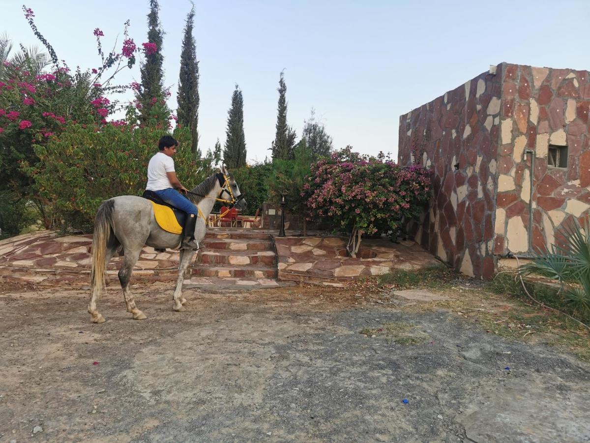 Naseem Country House Al Ula Exteriér fotografie