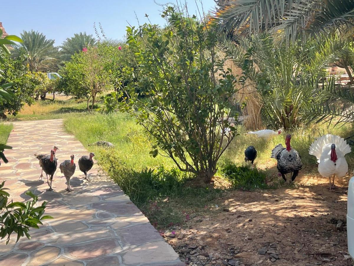 Naseem Country House Al Ula Exteriér fotografie