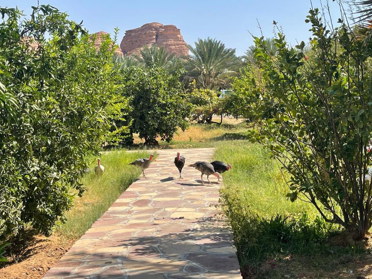 Naseem Country House Al Ula Exteriér fotografie