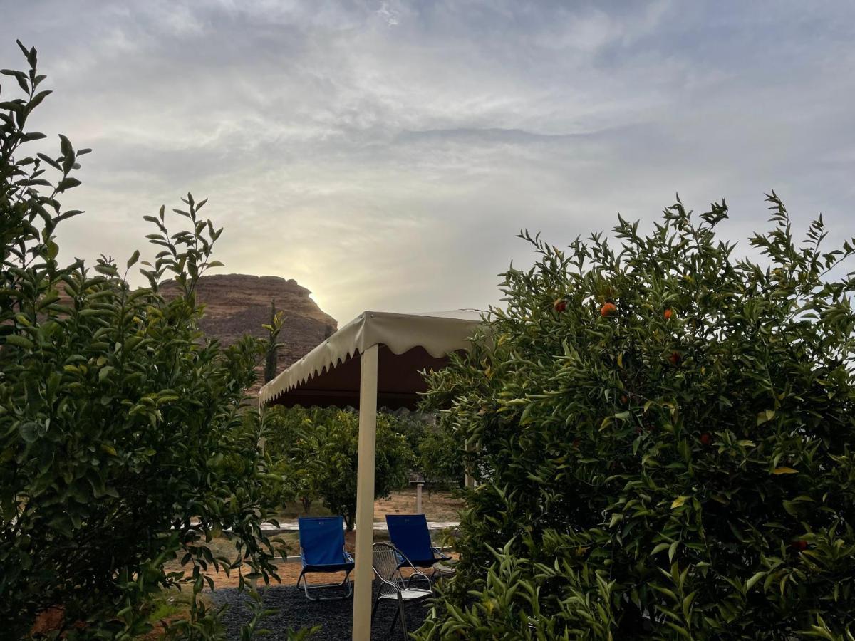 Naseem Country House Al Ula Exteriér fotografie