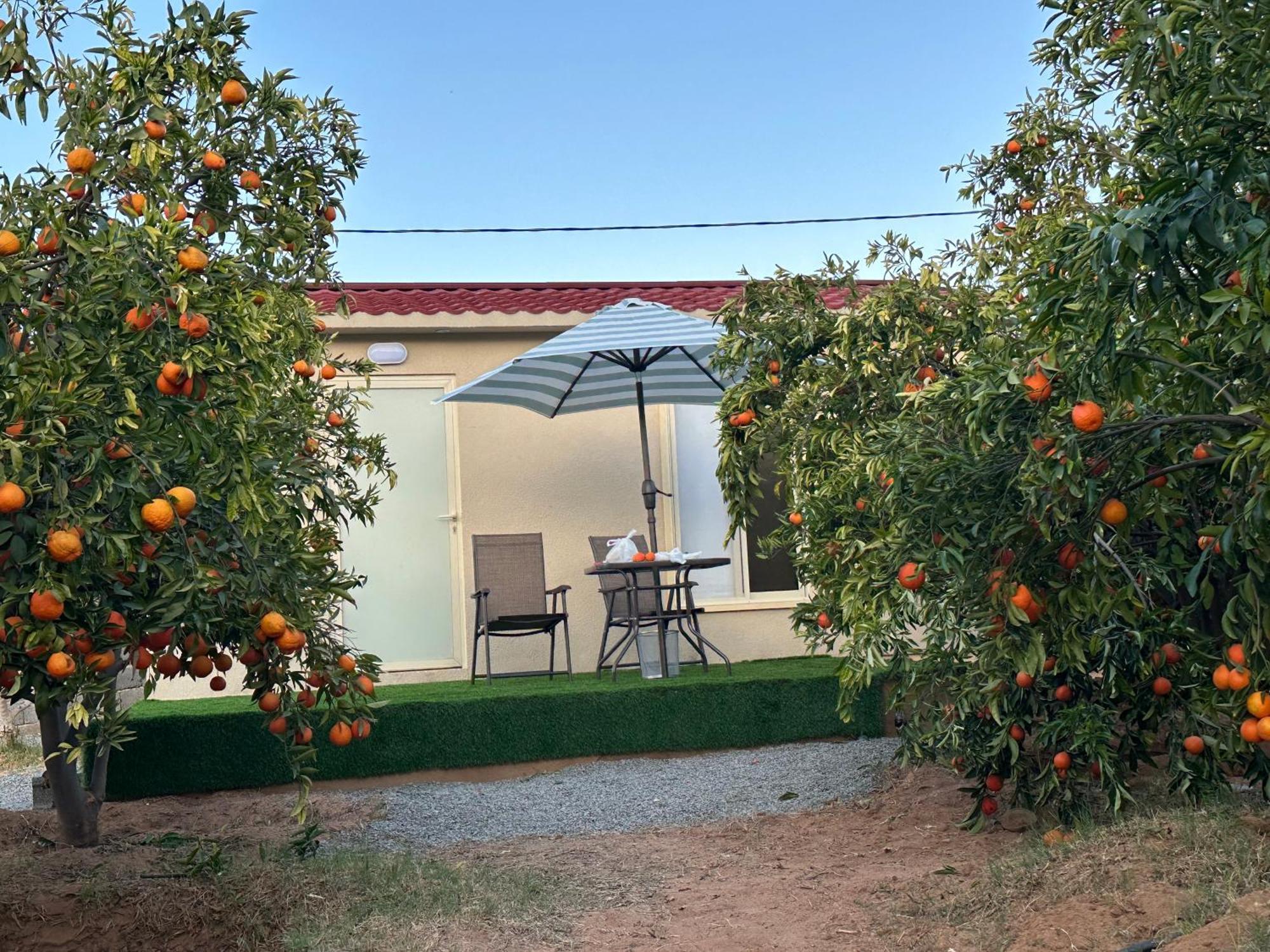 Naseem Country House Al Ula Exteriér fotografie