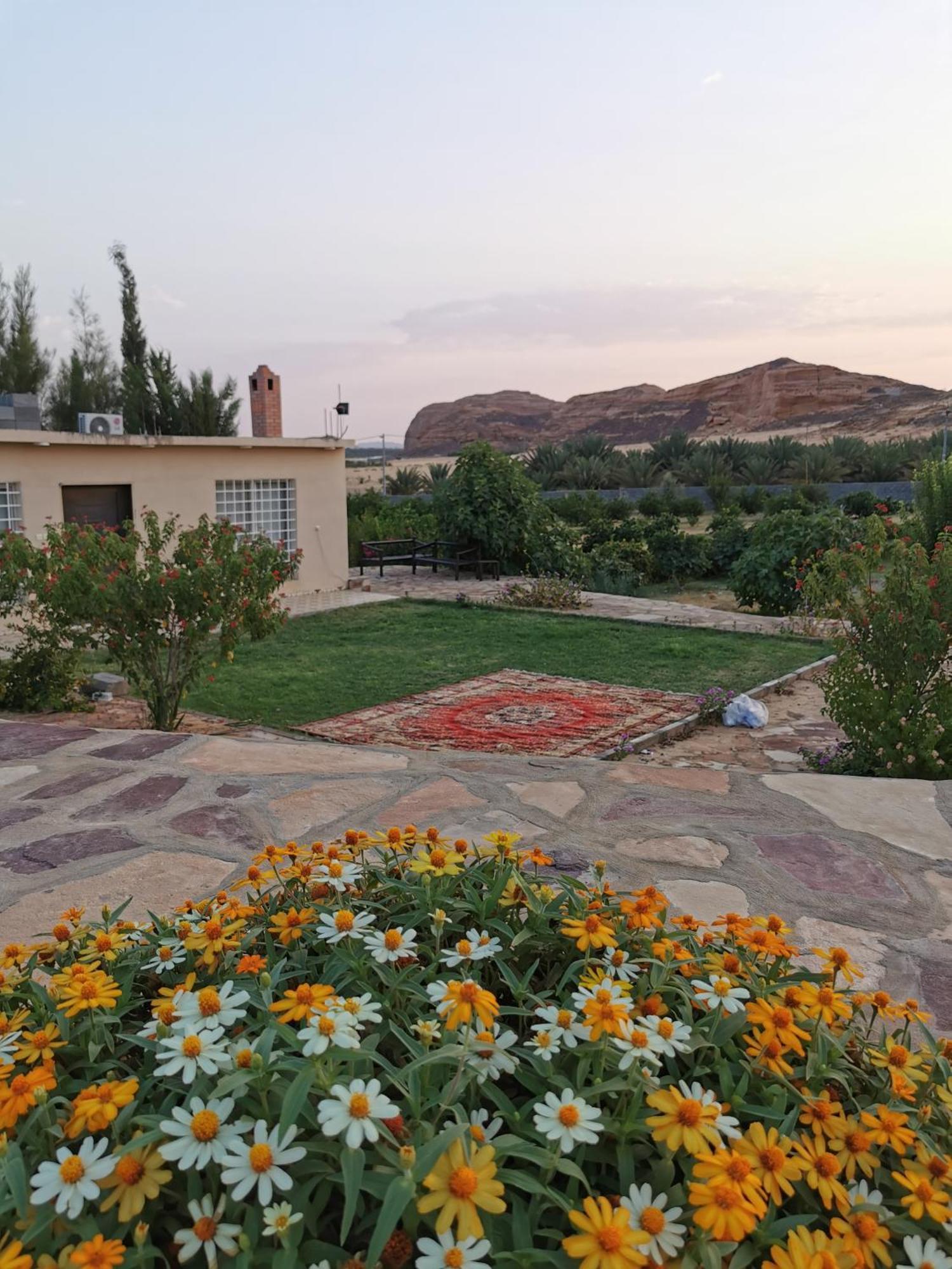 Naseem Country House Al Ula Exteriér fotografie